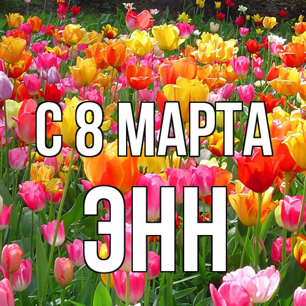 Открытка на каждый день с именем, Энн C 8 МАРТА на международный женский день Прикольная открытка с пожеланием онлайн скачать бесплатно 