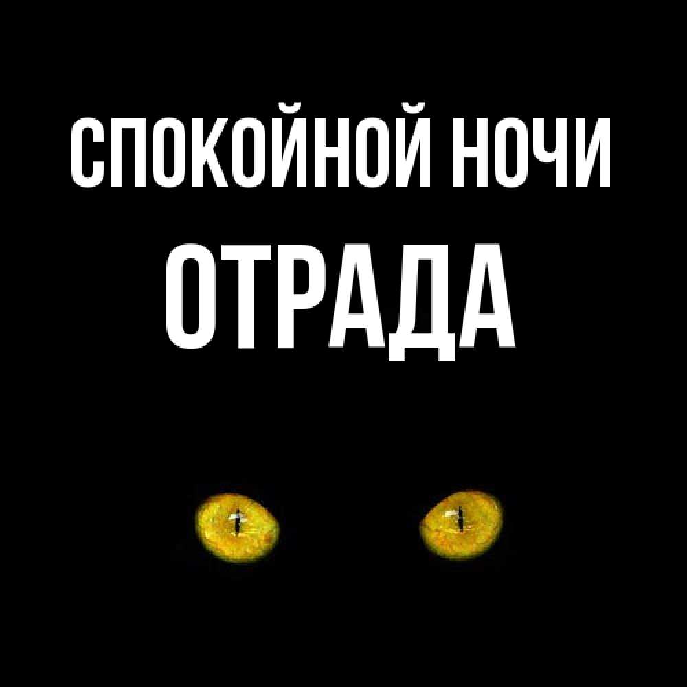 Открытка на каждый день с именем, Отpада Спокойной ночи сладких снов бесстрашный мой дружочек Прикольная открытка с пожеланием онлайн скачать бесплатно 