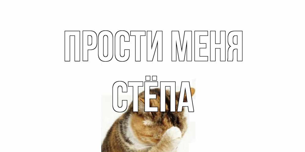 Открытка на каждый день с именем, Стёпа Прости меня кот Прикольная открытка с пожеланием онлайн скачать бесплатно 