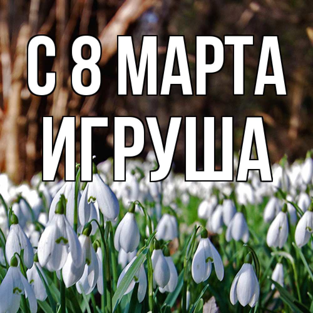 Открытка на каждый день с именем, Игруша C 8 МАРТА с подснежниками 1 Прикольная открытка с пожеланием онлайн скачать бесплатно 