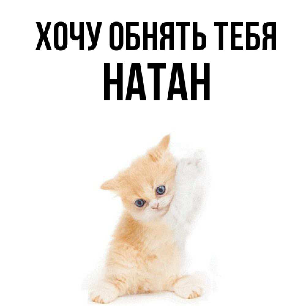 Открытка на каждый день с именем, Натан Хочу обнять тебя я хочу очень скорее обнимаешек Прикольная открытка с пожеланием онлайн скачать бесплатно 