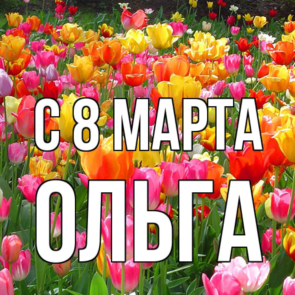 Открытка на каждый день с именем, Ольга C 8 МАРТА на международный женский день Прикольная открытка с пожеланием онлайн скачать бесплатно 