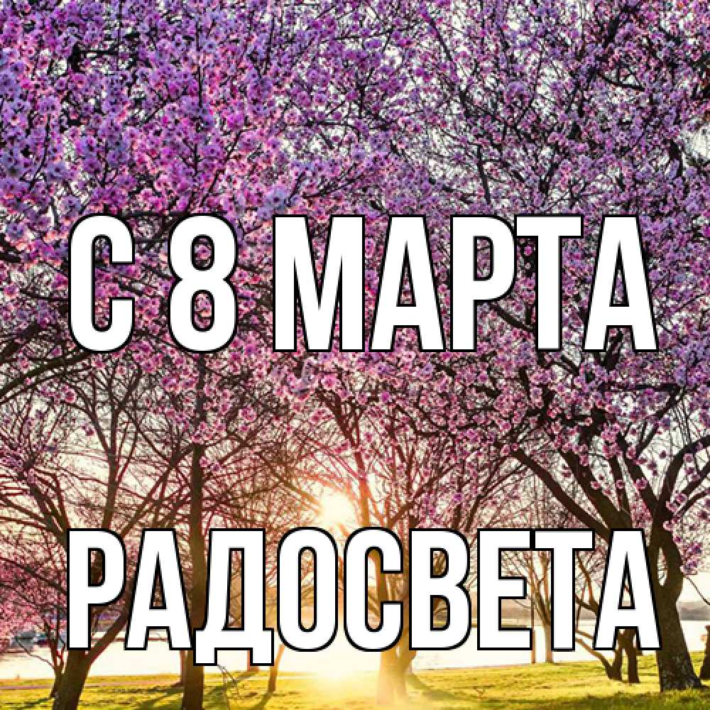 Открытка на каждый день с именем, Радосвета C 8 МАРТА международный женский день Прикольная открытка с пожеланием онлайн скачать бесплатно 
