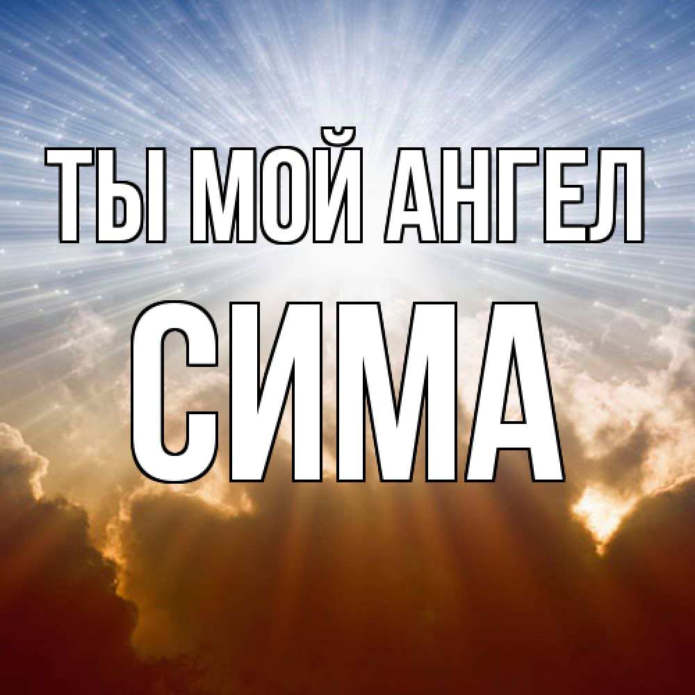 Открытка на каждый день с именем, Сима Ты мой ангел ангельский свет на небе Прикольная открытка с пожеланием онлайн скачать бесплатно 