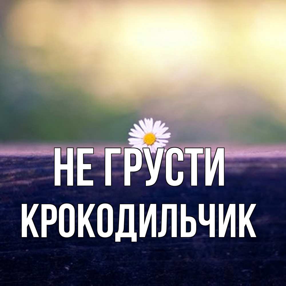 Открытка на каждый день с именем, Крокодильчик Не грусти красота Прикольная открытка с пожеланием онлайн скачать бесплатно 