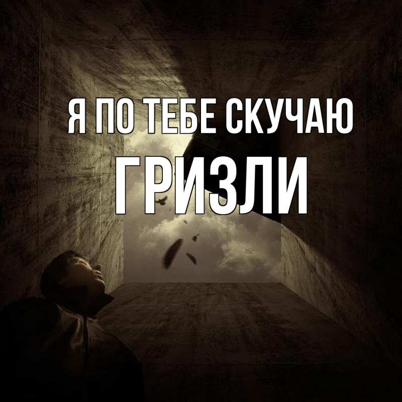 Картинка Я по тебе скучаю, Гризли