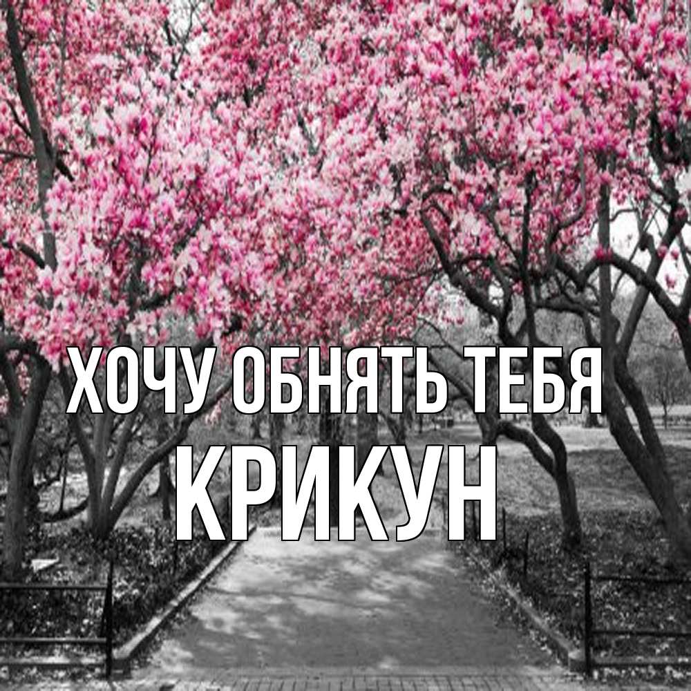 Открытка на каждый день с именем, Крикун Хочу обнять тебя обработанное фото Прикольная открытка с пожеланием онлайн скачать бесплатно 