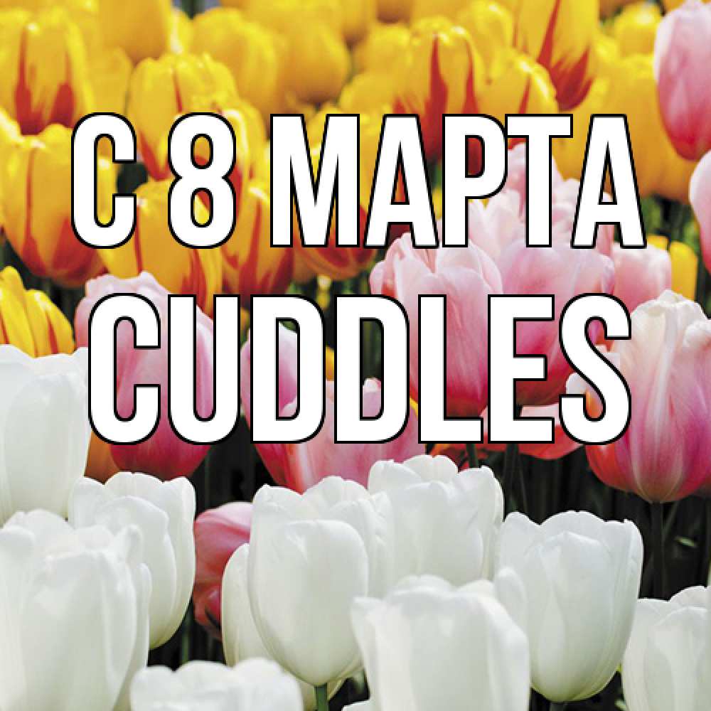 Открытка на каждый день с именем, Cuddles C 8 МАРТА разноцветные цветы Прикольная открытка с пожеланием онлайн скачать бесплатно 