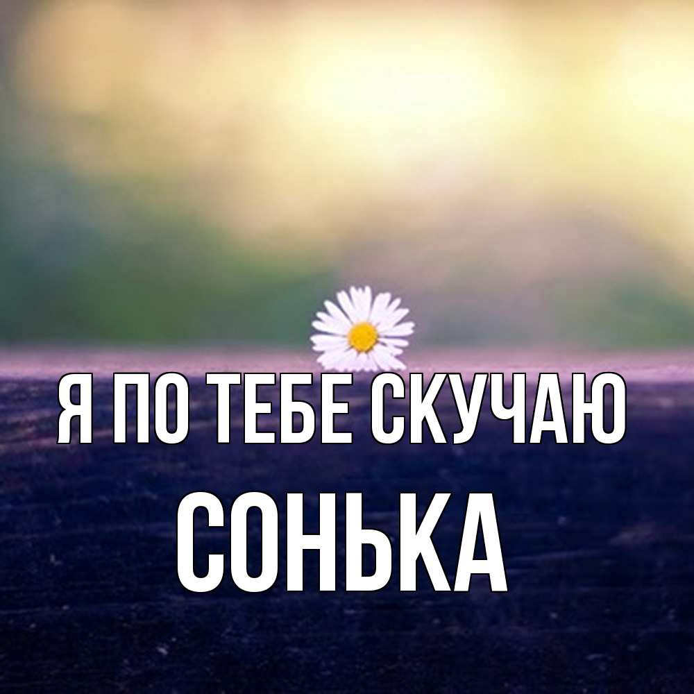 Открытка на каждый день с именем, Сонька Я по тебе скучаю приходи в гости Прикольная открытка с пожеланием онлайн скачать бесплатно 