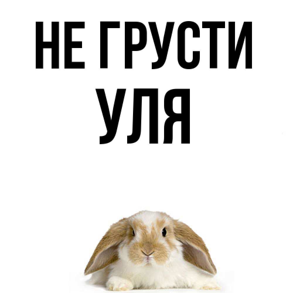 Открытка на каждый день с именем, Уля Не грусти коричнево белый заяц с большими ушками Прикольная открытка с пожеланием онлайн скачать бесплатно 