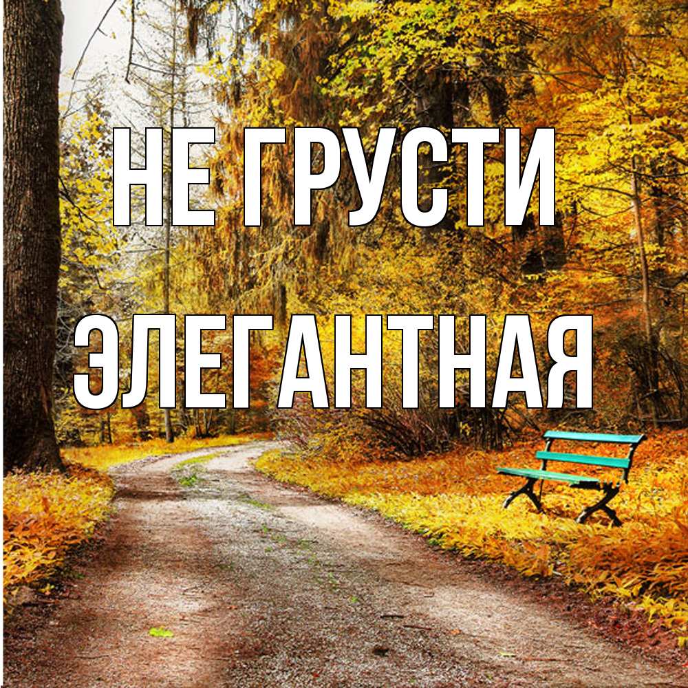 Открытка на каждый день с именем, элегантная Не грусти зеленая лавочка Прикольная открытка с пожеланием онлайн скачать бесплатно 