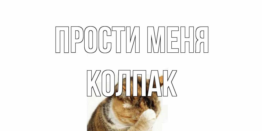 Открытка на каждый день с именем, Колпак Прости меня кот Прикольная открытка с пожеланием онлайн скачать бесплатно 
