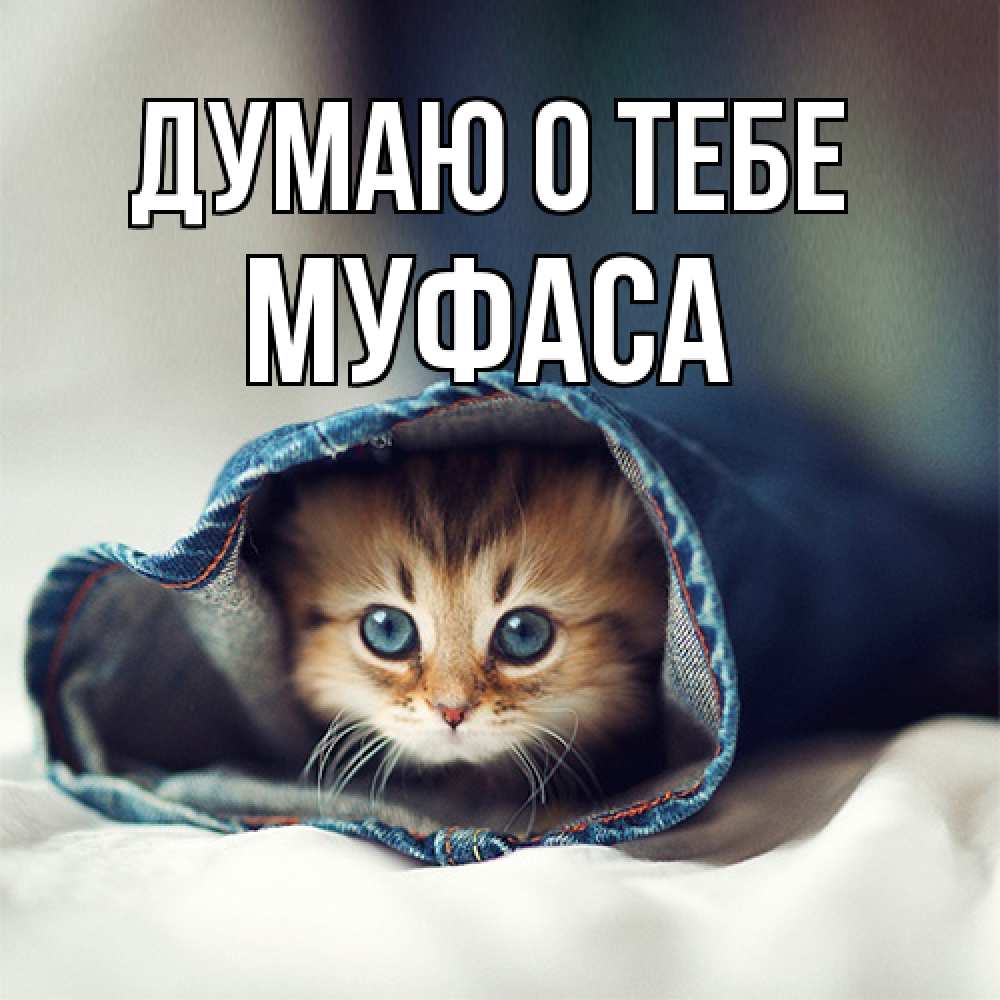 Открытка на каждый день с именем, Муфаса Думаю о тебе мне без тебя плохо Прикольная открытка с пожеланием онлайн скачать бесплатно 