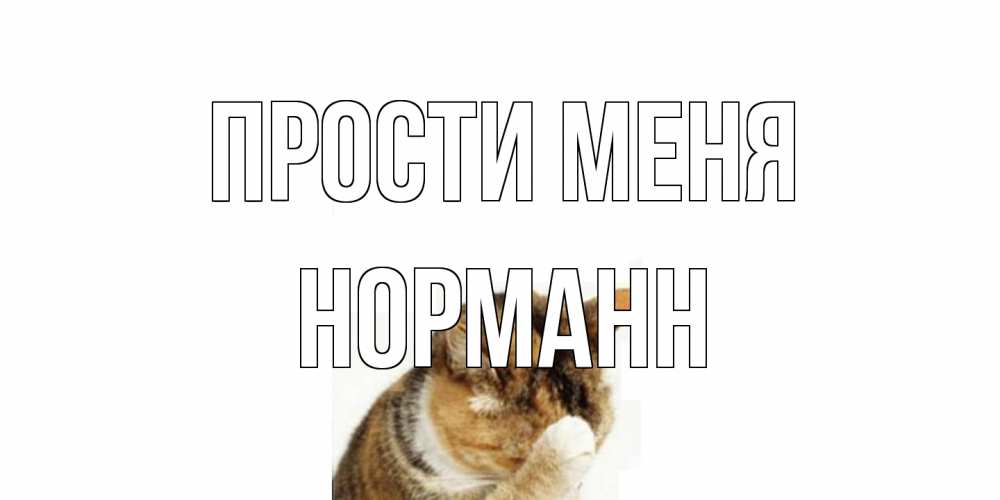 Открытка на каждый день с именем, Норманн Прости меня кот Прикольная открытка с пожеланием онлайн скачать бесплатно 