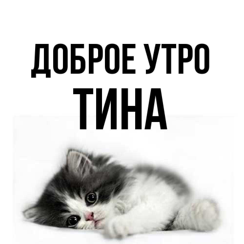 Открытка на каждый день с именем, Тина Доброе утро кот лапки Прикольная открытка с пожеланием онлайн скачать бесплатно 
