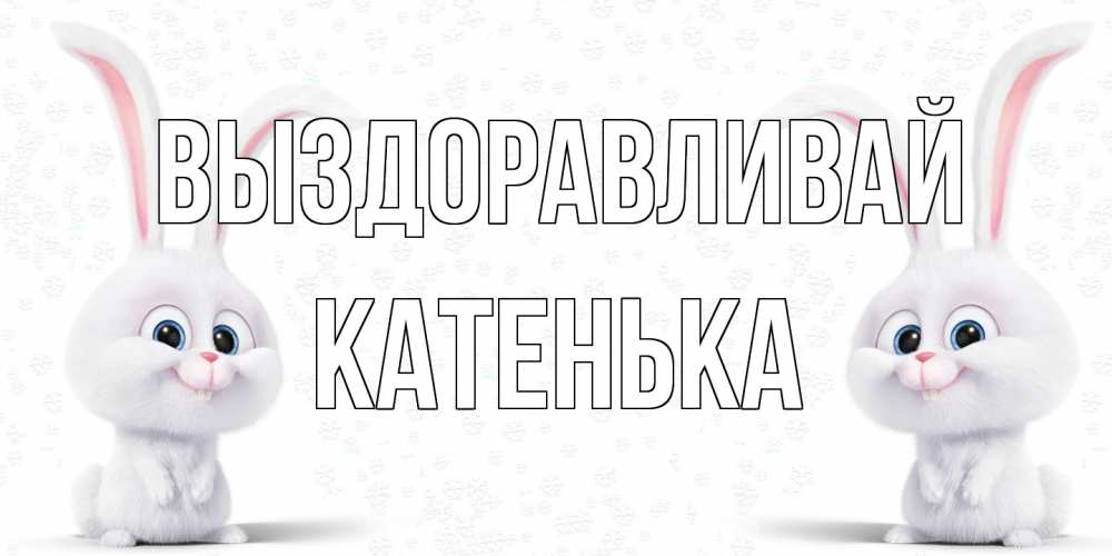 Открытка на каждый день с именем, Катенька Выздоравливай не болей с зайцем Прикольная открытка с пожеланием онлайн скачать бесплатно 