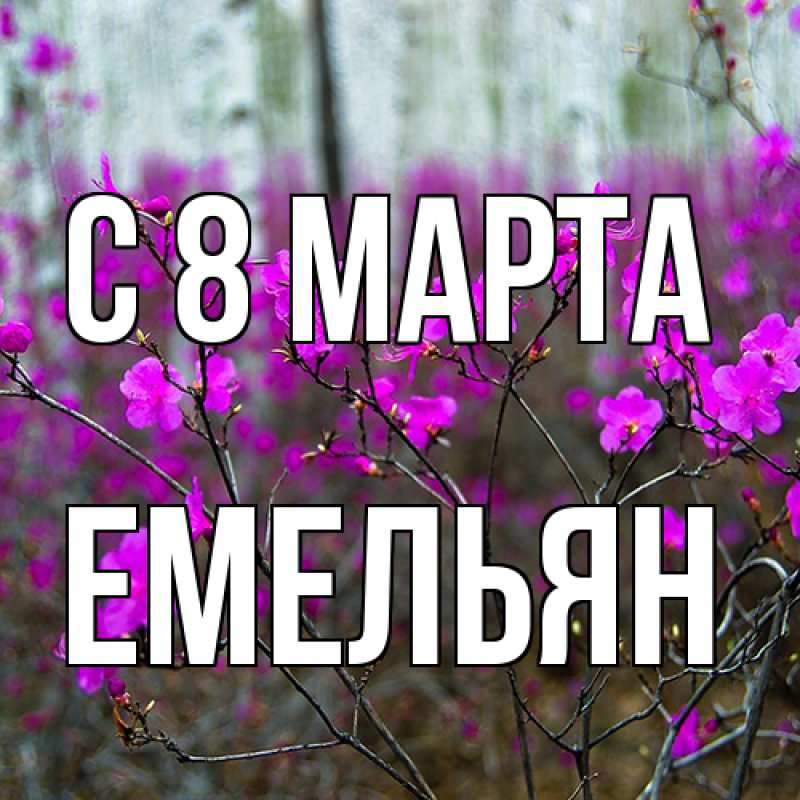 Картинка C 8 МАРТА, Емельян