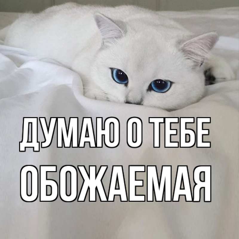 Открытка с именем, обожаемая, Думаю о тебе