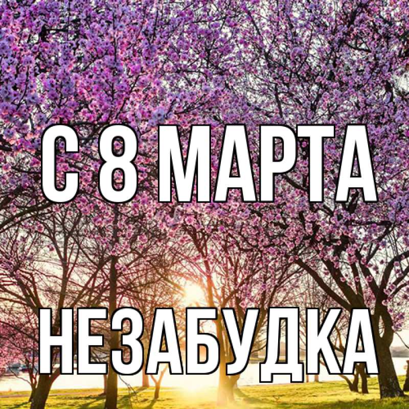 Картинка C 8 МАРТА, Незабудка