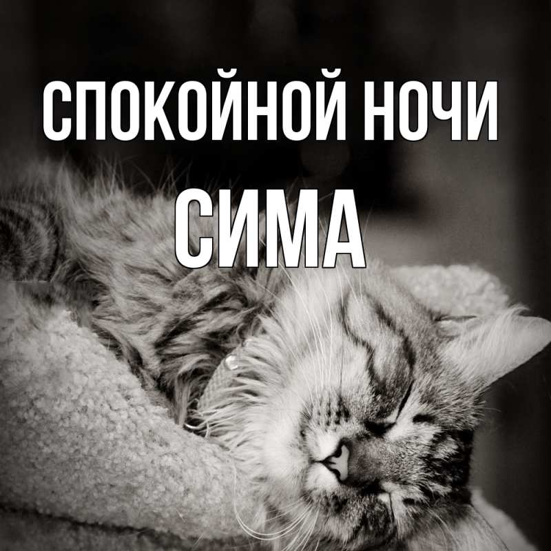 Открытка с именем, Сима, Спокойной ночи
