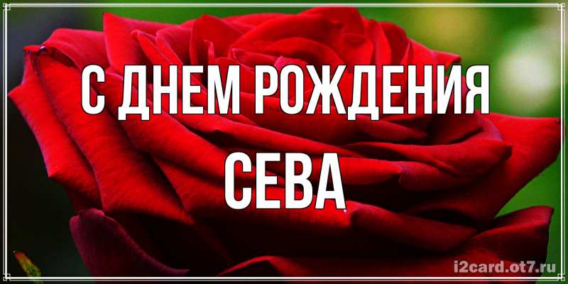 Картинка С днем рождения, Сева