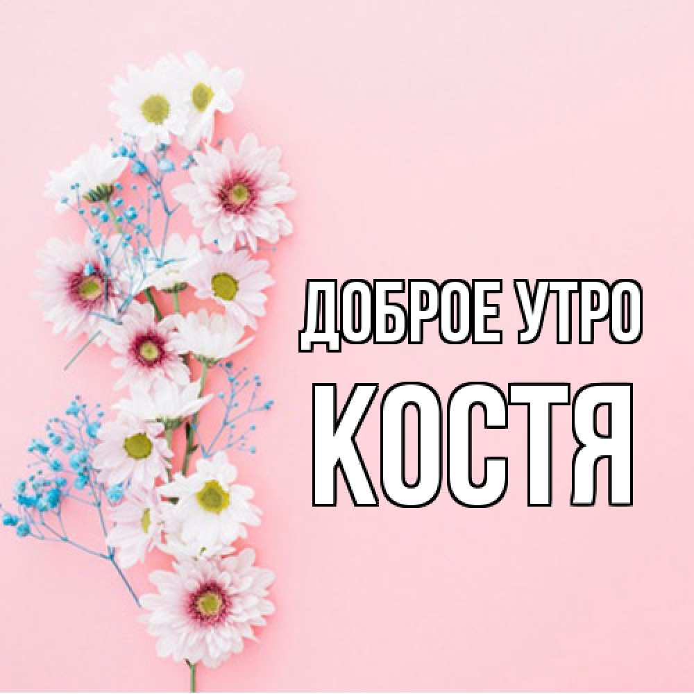 Открытка на каждый день с именем, Костя Доброе утро цветы с подписью Прикольная открытка с пожеланием онлайн скачать бесплатно 