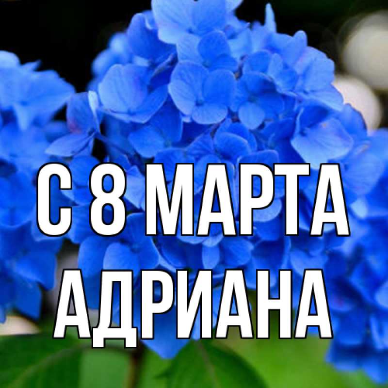 Картинка C 8 МАРТА, Адриана