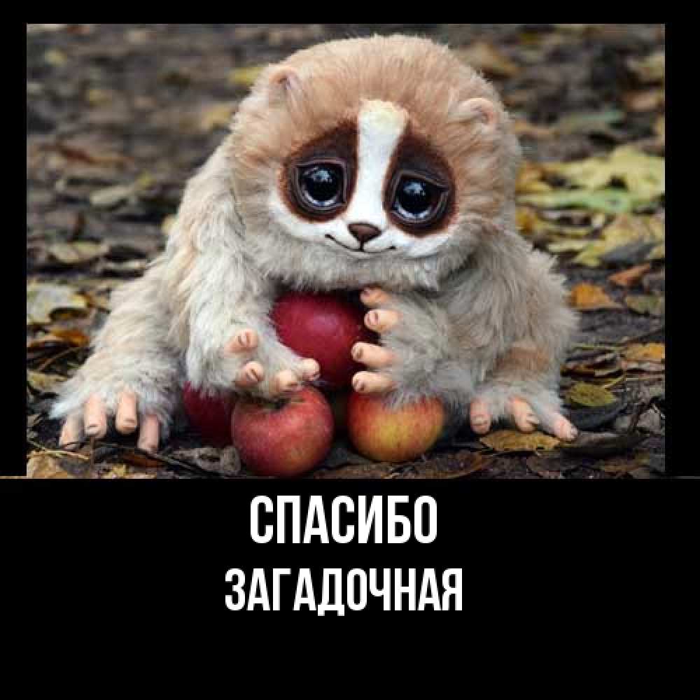 Открытка на каждый день с именем, загадочная Спасибо прикольное животное Прикольная открытка с пожеланием онлайн скачать бесплатно 