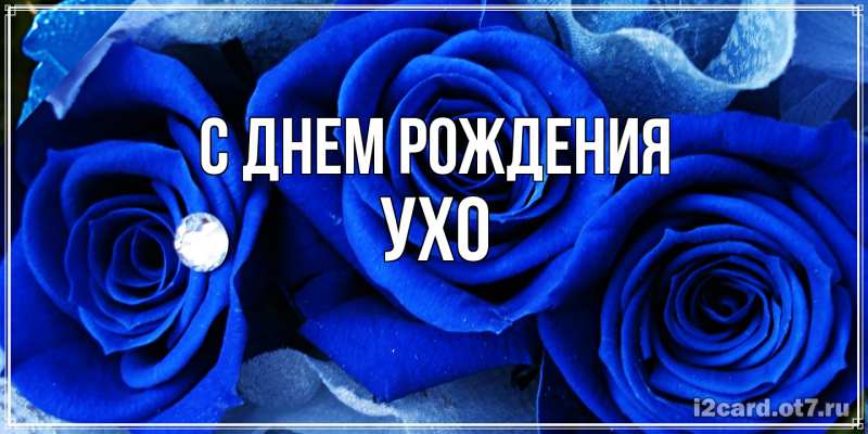 Картинка С днем рождения, Ухо