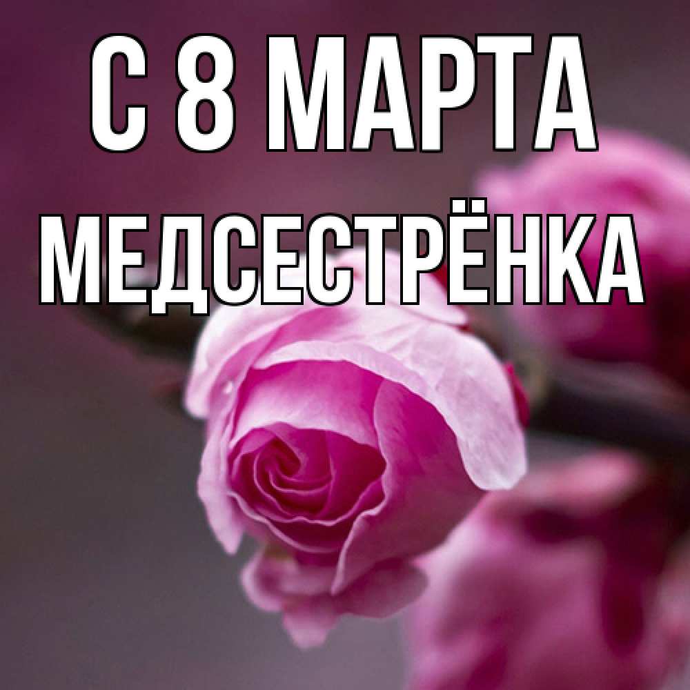 Открытка на каждый день с именем, Медсестрёнка C 8 МАРТА весна Прикольная открытка с пожеланием онлайн скачать бесплатно 