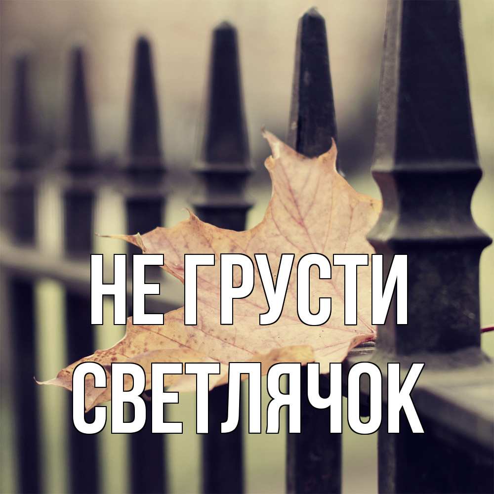Открытка на каждый день с именем, Светлячок Не грусти лист клена Прикольная открытка с пожеланием онлайн скачать бесплатно 