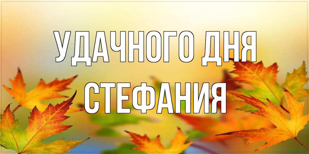 Открытка на каждый день с именем, Стефания Удачного дня открытка с пожеланием хорошего осеннего дня Прикольная открытка с пожеланием онлайн скачать бесплатно 