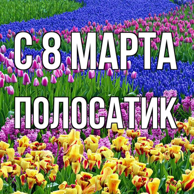 Открытка с именем, полосатик, C 8 МАРТА