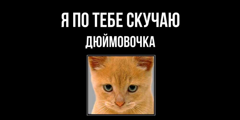 Открытка на каждый день с именем, Дюймовочка Я по тебе скучаю открытки рыжий котенок скучает по тебе Прикольная открытка с пожеланием онлайн скачать бесплатно 