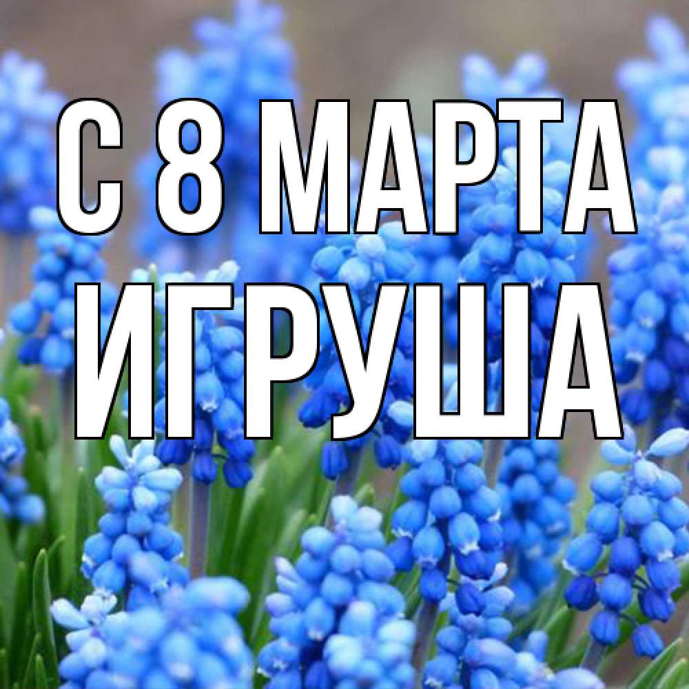 Открытка на каждый день с именем, Игруша C 8 МАРТА Поздравительная открытка для женщин с цветами на праздничную дату Прикольная открытка с пожеланием онлайн скачать бесплатно 