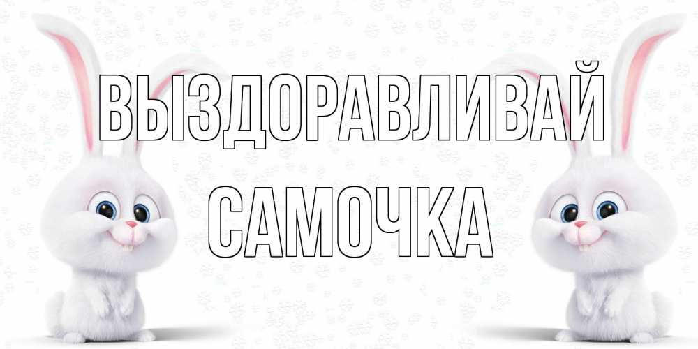 Открытка на каждый день с именем, Самочка Выздоравливай не болей с зайцем Прикольная открытка с пожеланием онлайн скачать бесплатно 