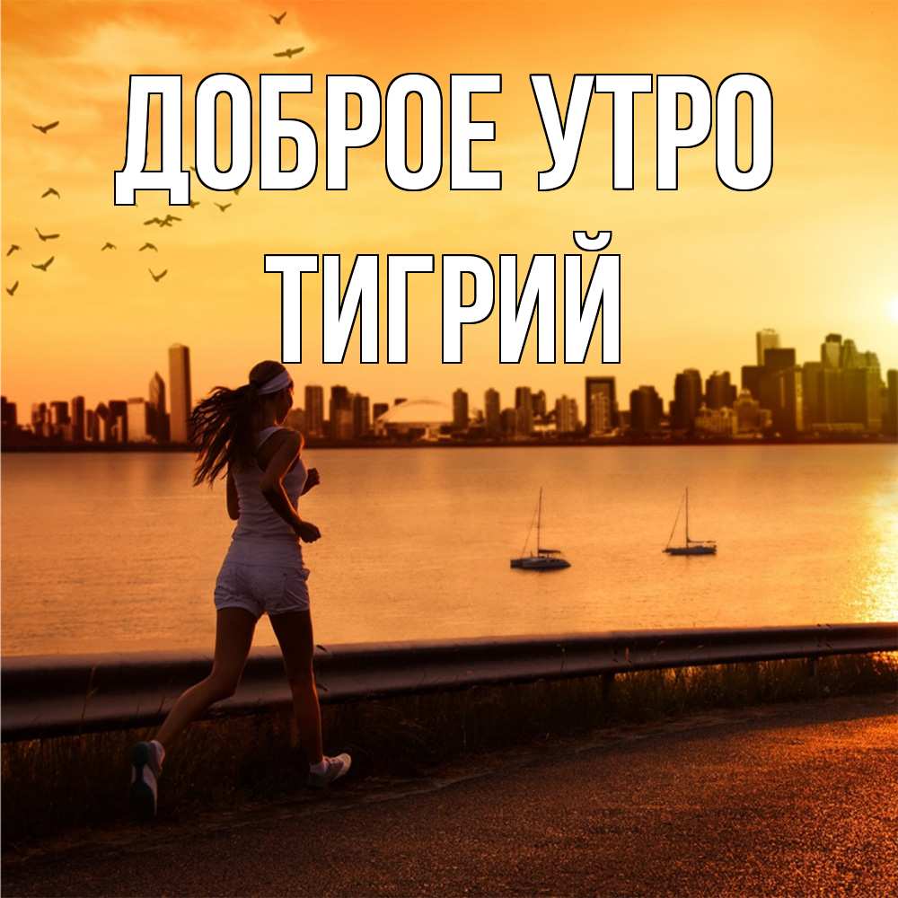 Открытка на каждый день с именем, Тигрий Доброе утро девушка бежит Прикольная открытка с пожеланием онлайн скачать бесплатно 