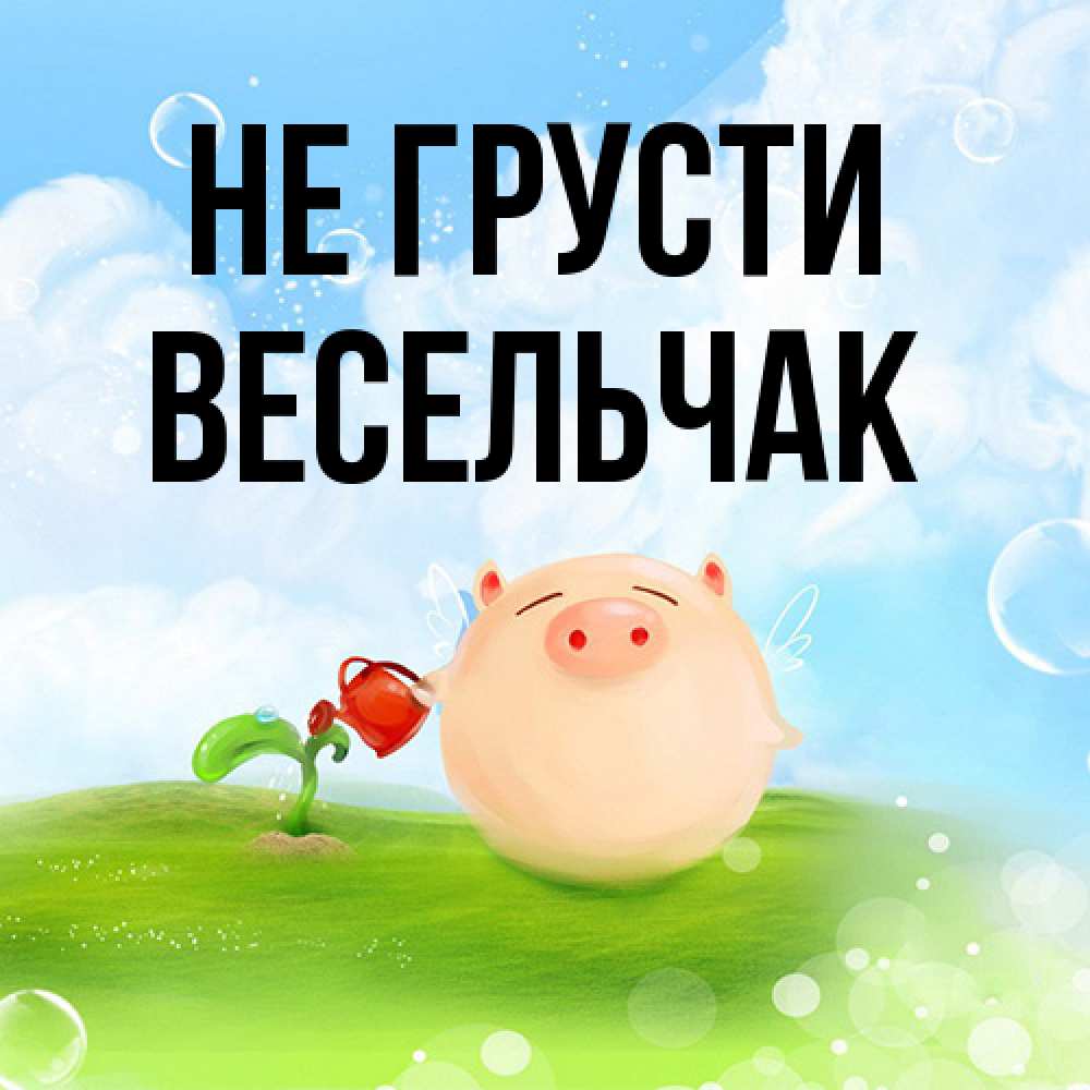Открытка на каждый день с именем, Весельчак Не грусти поливает цветок порося Прикольная открытка с пожеланием онлайн скачать бесплатно 
