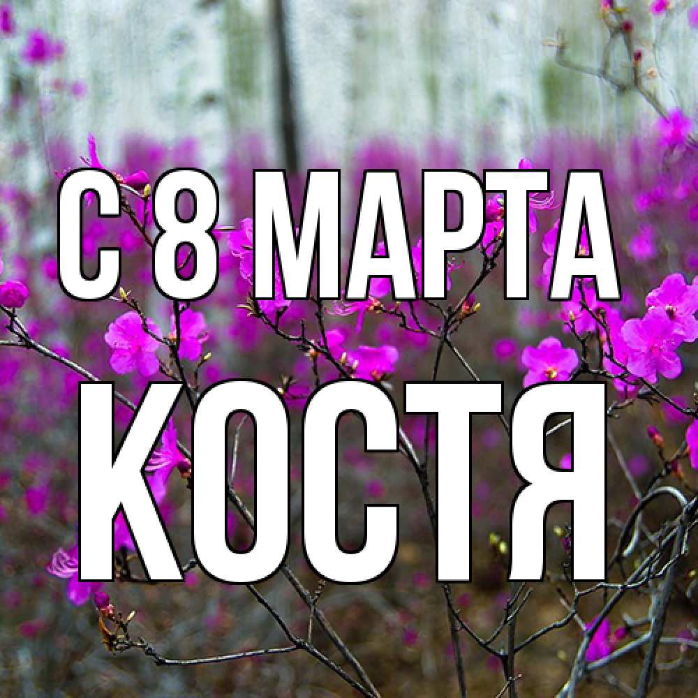 Открытка на каждый день с именем, Костя C 8 МАРТА дикие цветы Прикольная открытка с пожеланием онлайн скачать бесплатно 