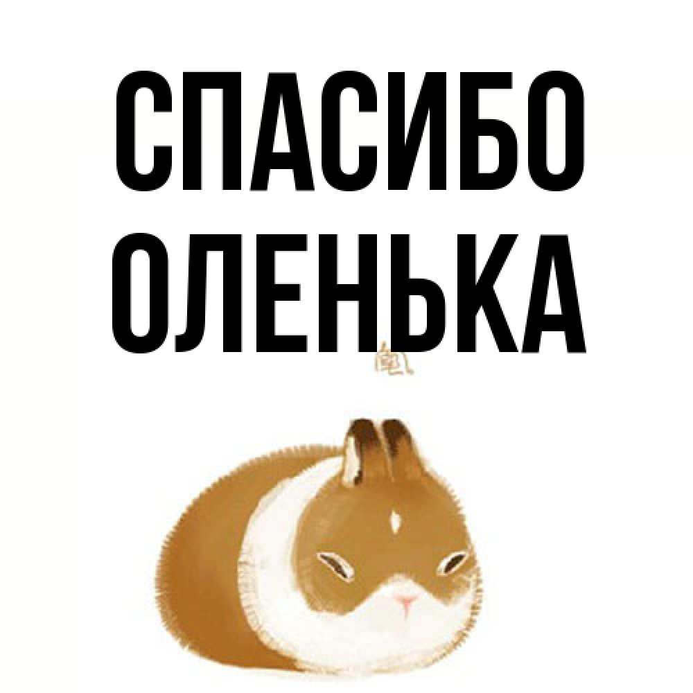 Открытка на каждый день с именем, Оленька Спасибо коричнево белый домашний питомец Прикольная открытка с пожеланием онлайн скачать бесплатно 