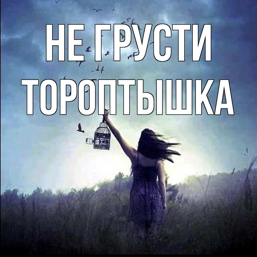 Открытка на каждый день с именем, Тороптышка Не грусти на волю Прикольная открытка с пожеланием онлайн скачать бесплатно 