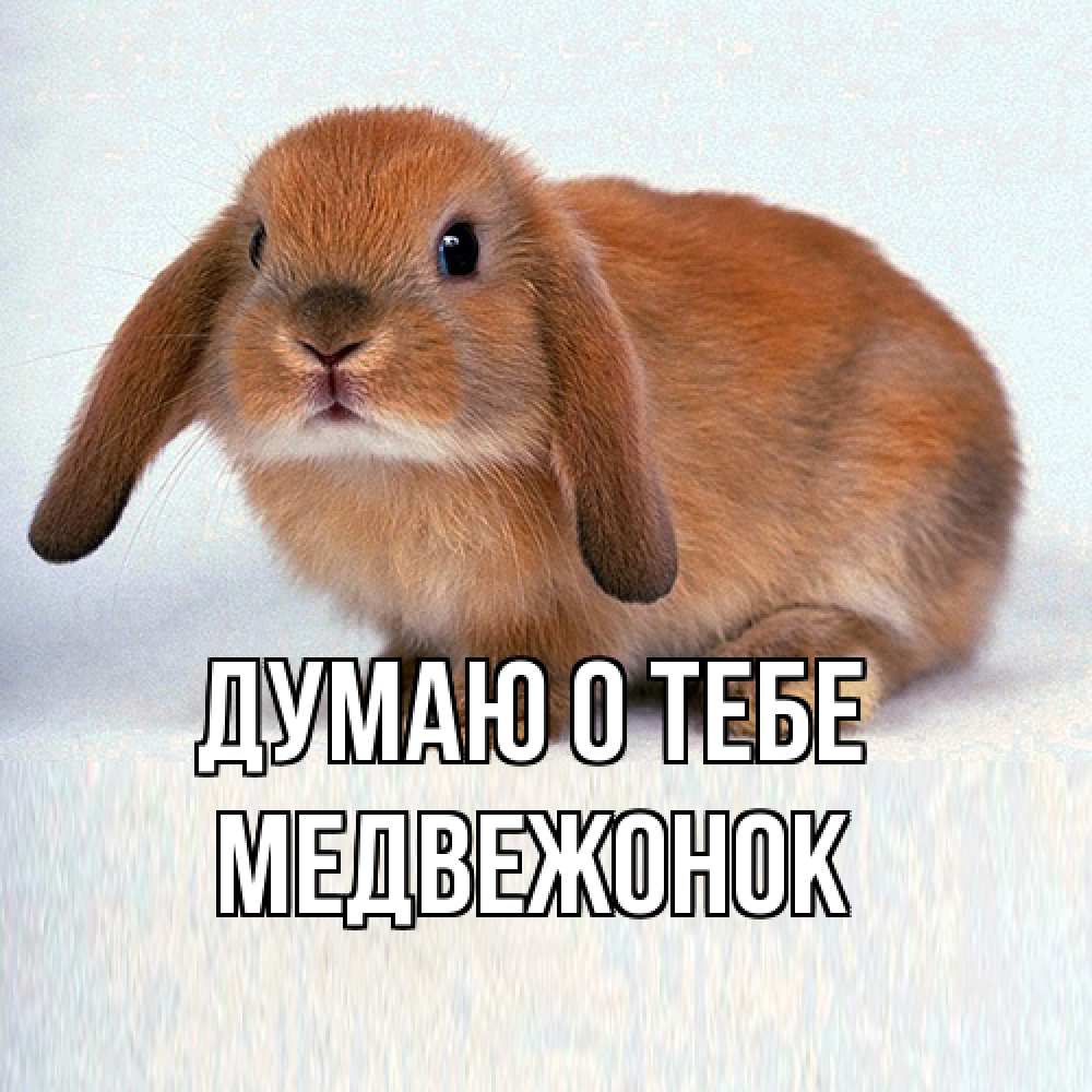 Открытка на каждый день с именем, медвежонок Думаю о тебе кроль коричневый Прикольная открытка с пожеланием онлайн скачать бесплатно 