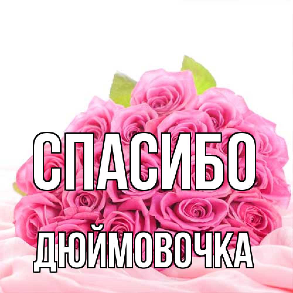 Открытка на каждый день с именем, Дюймовочка Спасибо розовые розы с подписью Прикольная открытка с пожеланием онлайн скачать бесплатно 