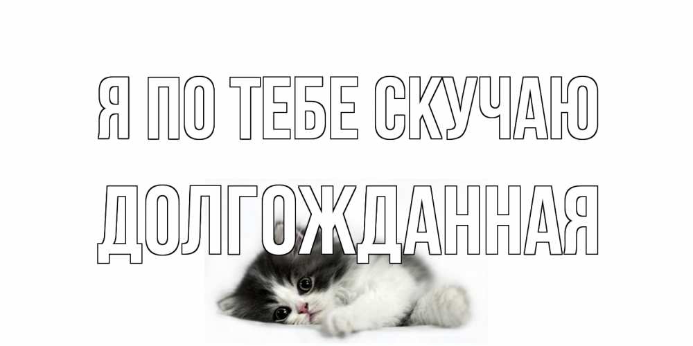 Открытка на каждый день с именем, Долгожданная Я по тебе скучаю кот, скука Прикольная открытка с пожеланием онлайн скачать бесплатно 