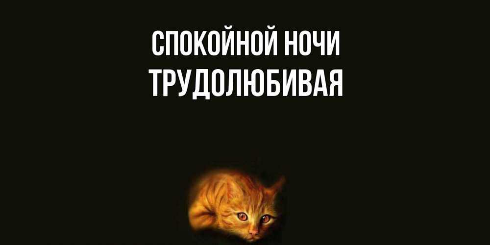 Открытка на каждый день с именем, Трудолюбивая Спокойной ночи кот Прикольная открытка с пожеланием онлайн скачать бесплатно 