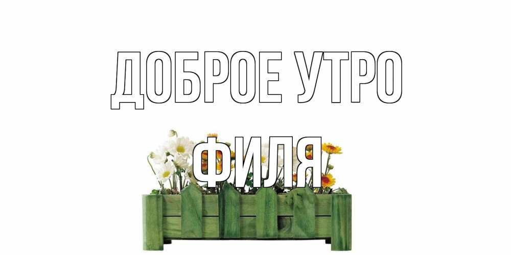 Открытка на каждый день с именем, Филя Доброе утро цветы Прикольная открытка с пожеланием онлайн скачать бесплатно 