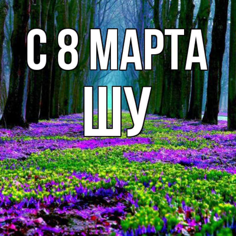 Картинка C 8 МАРТА, Шу