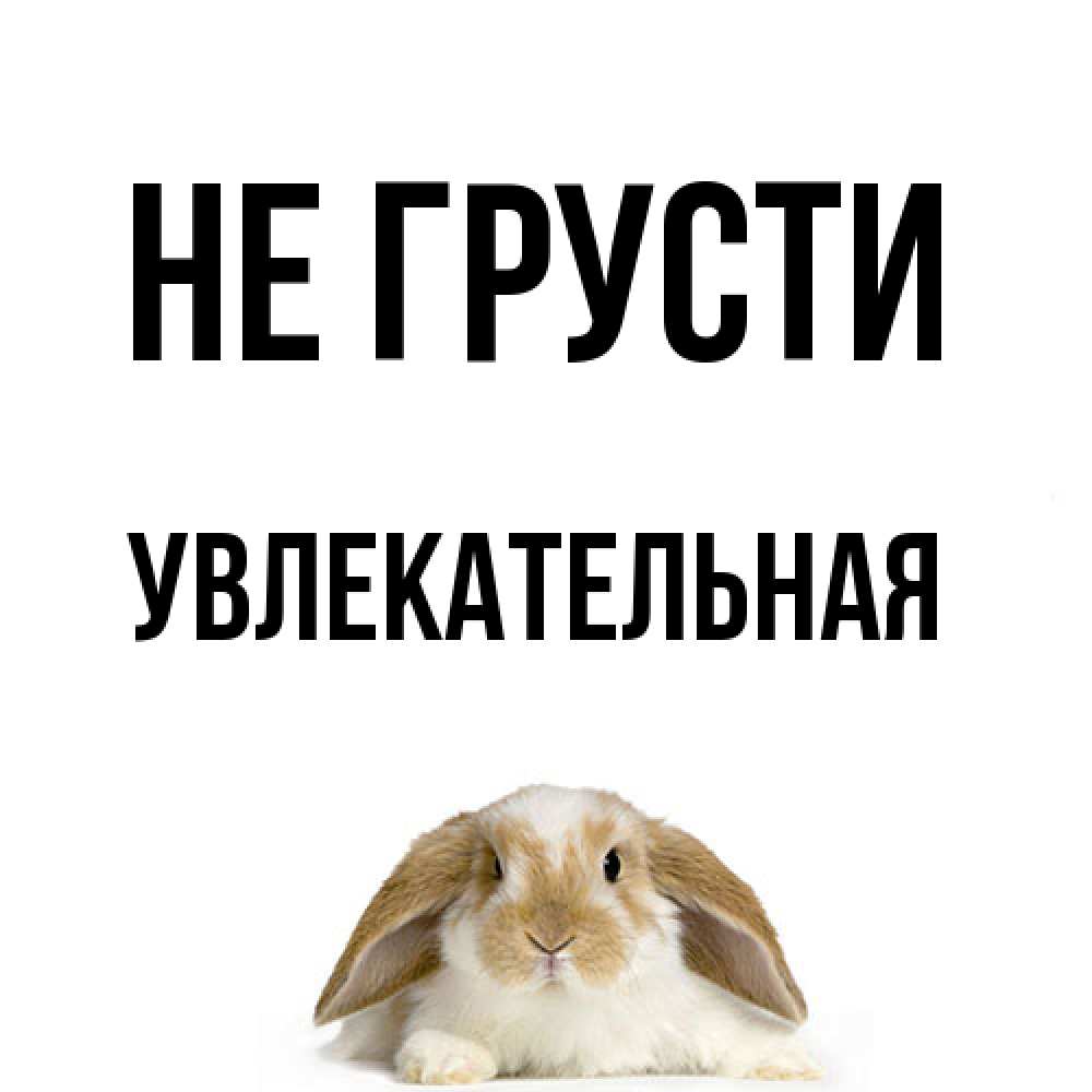 Открытка на каждый день с именем, Увлекательная Не грусти коричнево белый заяц с большими ушками Прикольная открытка с пожеланием онлайн скачать бесплатно 