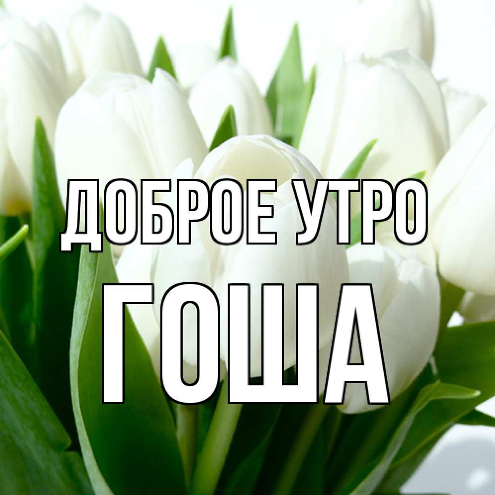 Открытка на каждый день с именем, Гоша Доброе утро открытки на каждый день по именам Прикольная открытка с пожеланием онлайн скачать бесплатно 
