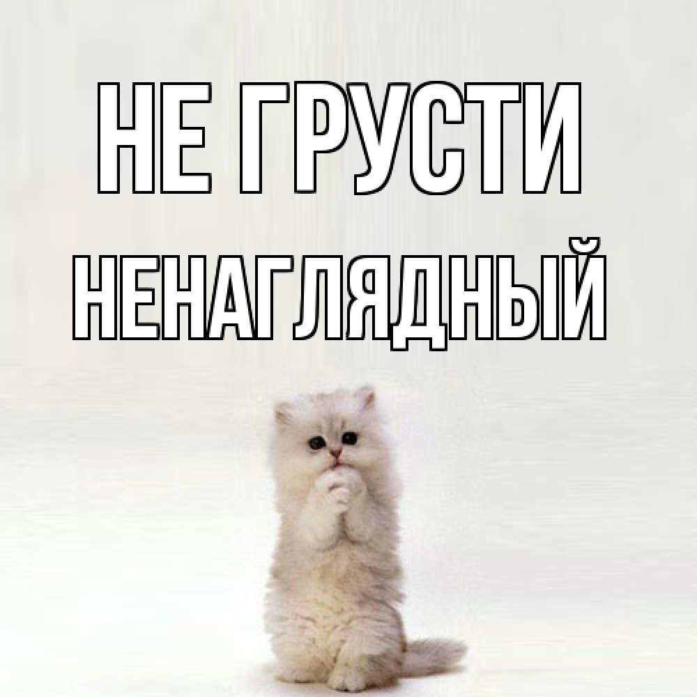 Открытка на каждый день с именем, Ненаглядный Не грусти грустный кот Прикольная открытка с пожеланием онлайн скачать бесплатно 